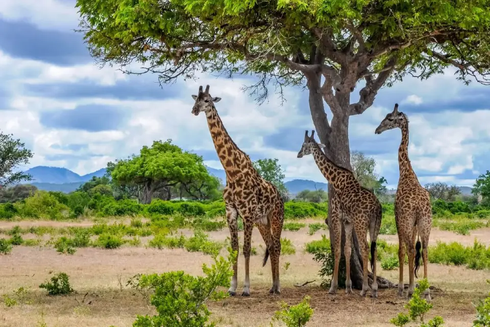 10-days-southern-premier-adventure-10