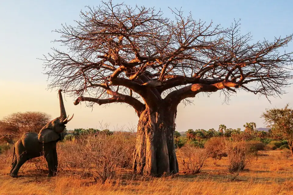 10-days-southern-premier-adventure-7