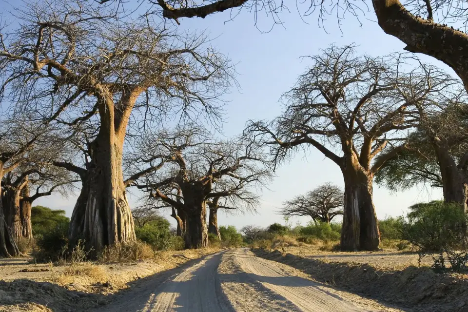 10-days-southern-premier-adventure-8