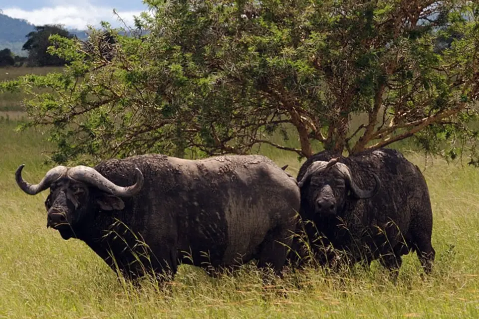 10-days-southern-premier-adventure-9