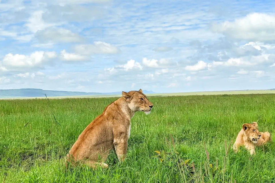 10-days-tanzania-odyssey-11