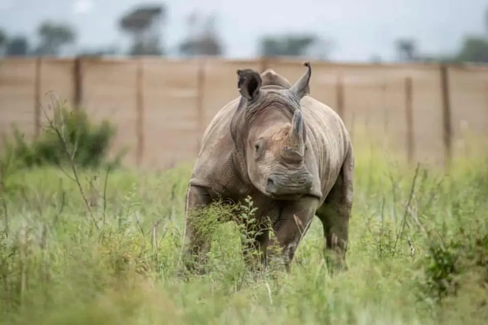 10-days-tanzania-odyssey-8