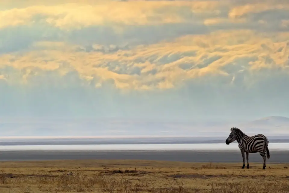 10-days-tanzania-odyssey-9