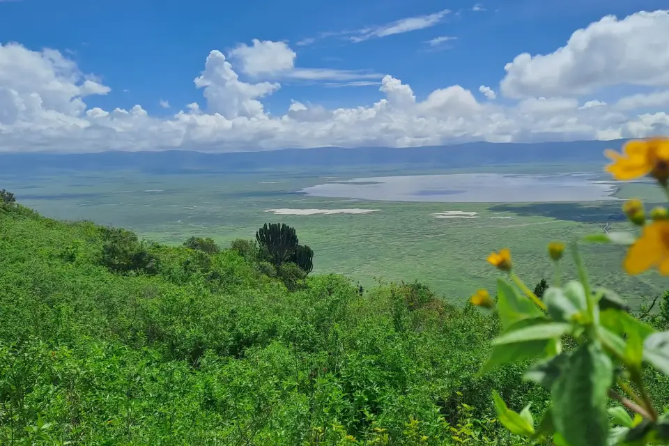 4-days-signature-serengeti-and-ngorongoro-6