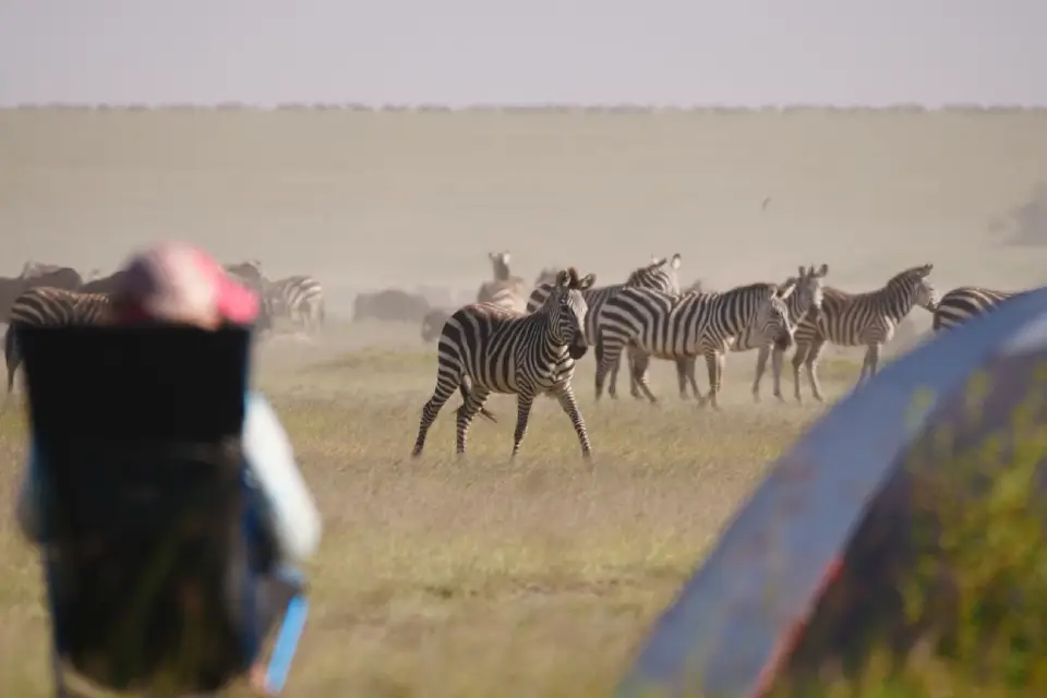 4-days-tanzania-walking-safari-5