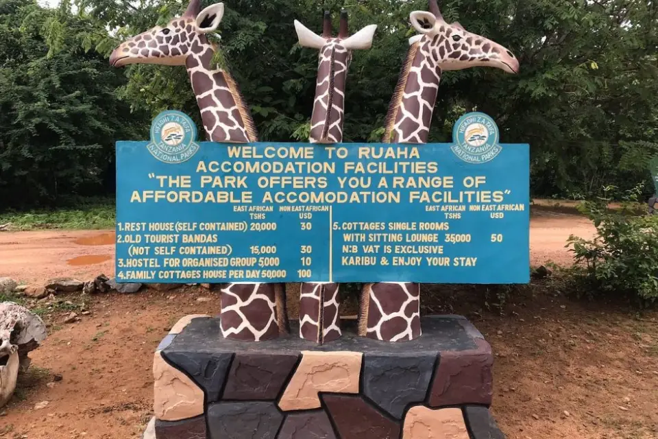 4-days-tanzania-walking-safari-6