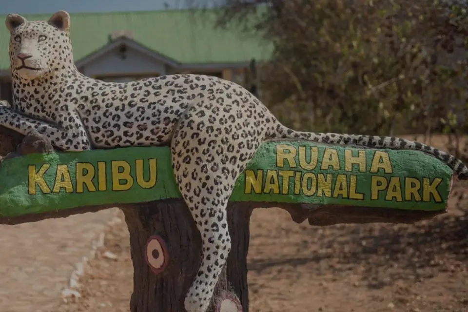 5-days-signature-ruaha-and-selous-9