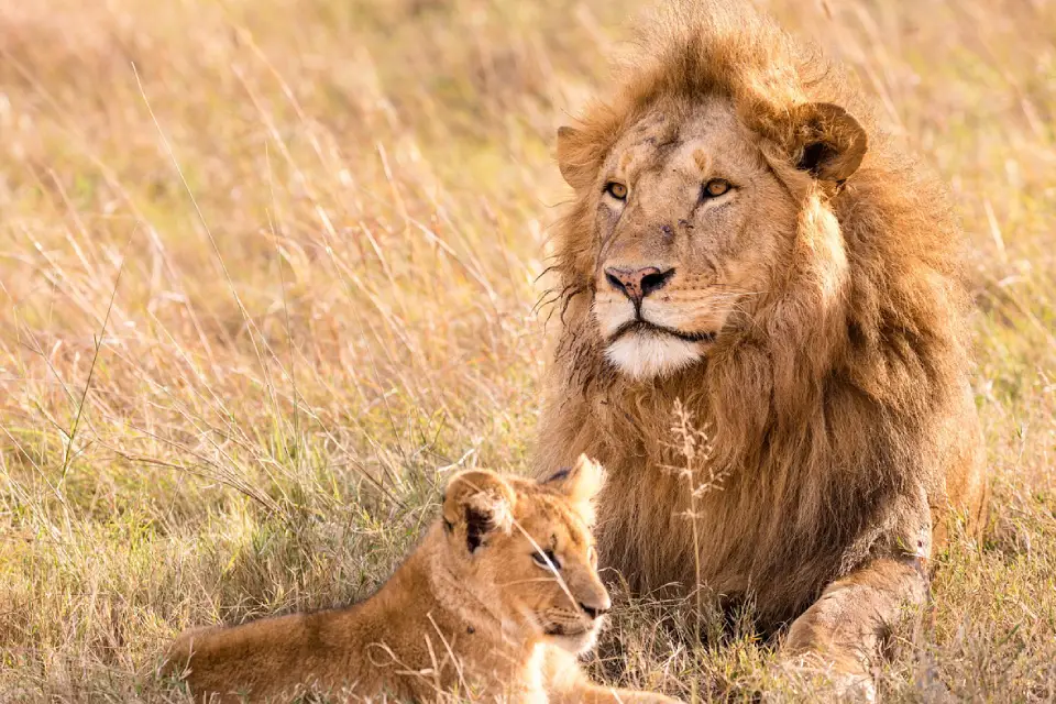 5-days-tanzania-big-five-safari-8