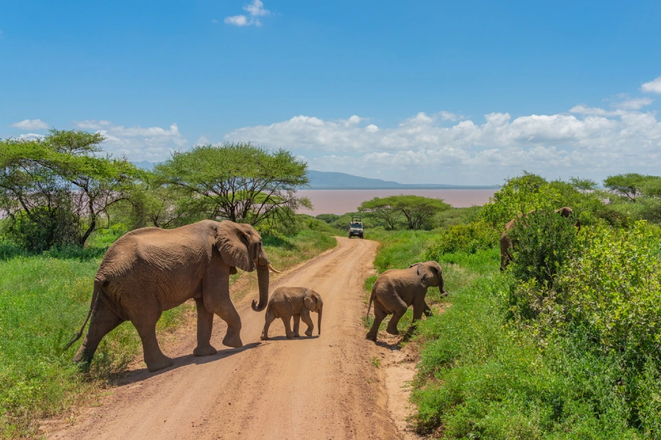6-days-cultural-tanzania-safari-9