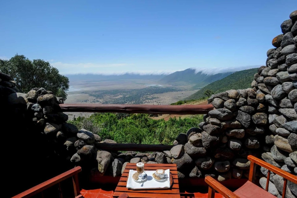 6-days-tanzania-lodge-safari-9