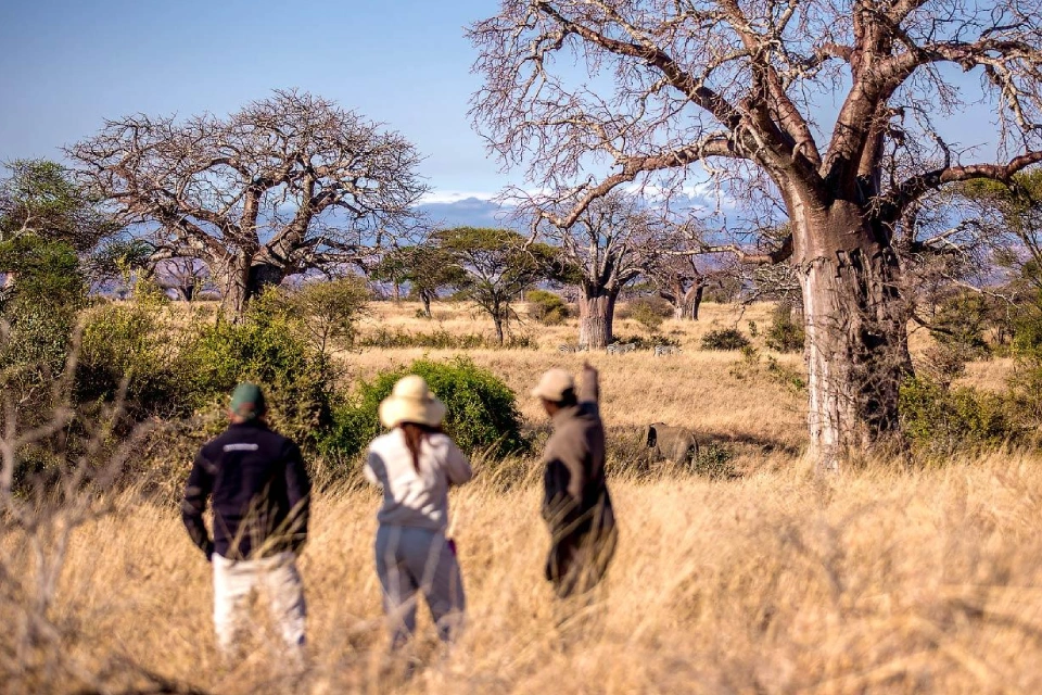 8-days-safari-and-luxe-bawe-island-retreat-12