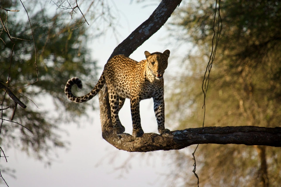 8-days-signature-western-tanzania-10