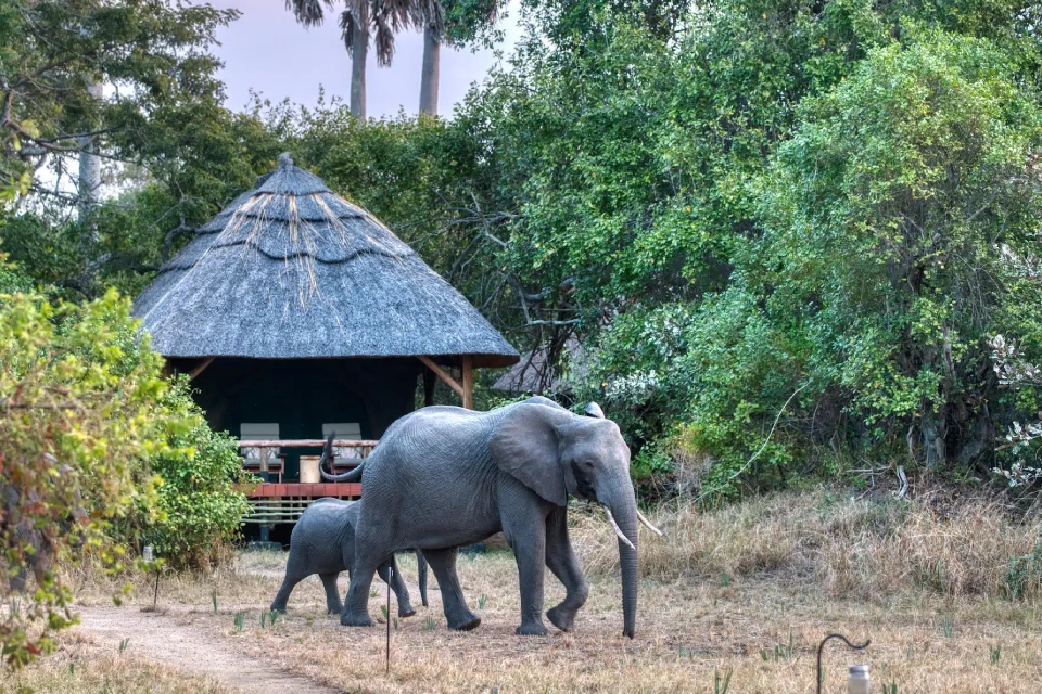 8-days-signature-western-tanzania-11