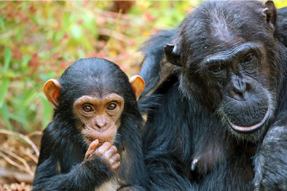 8-days-signature-western-tanzania-9