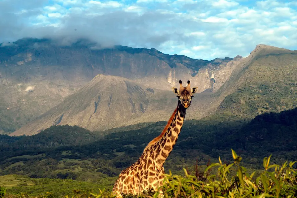 8-days-tanzania-dramatic-landscapes-10