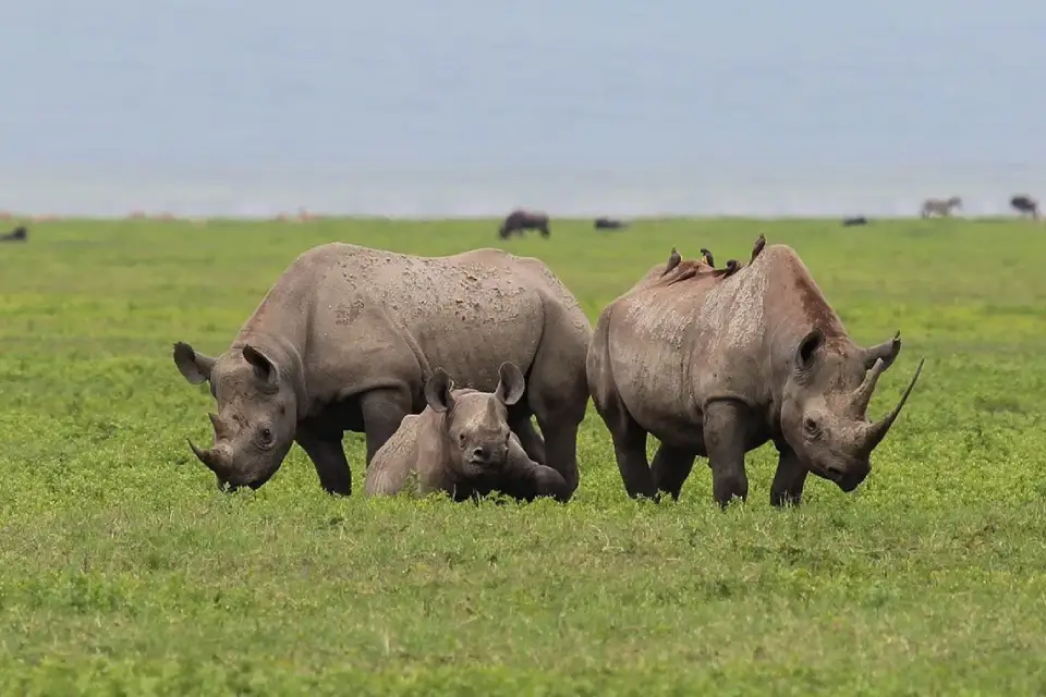8-days-tanzania-dramatic-landscapes-6