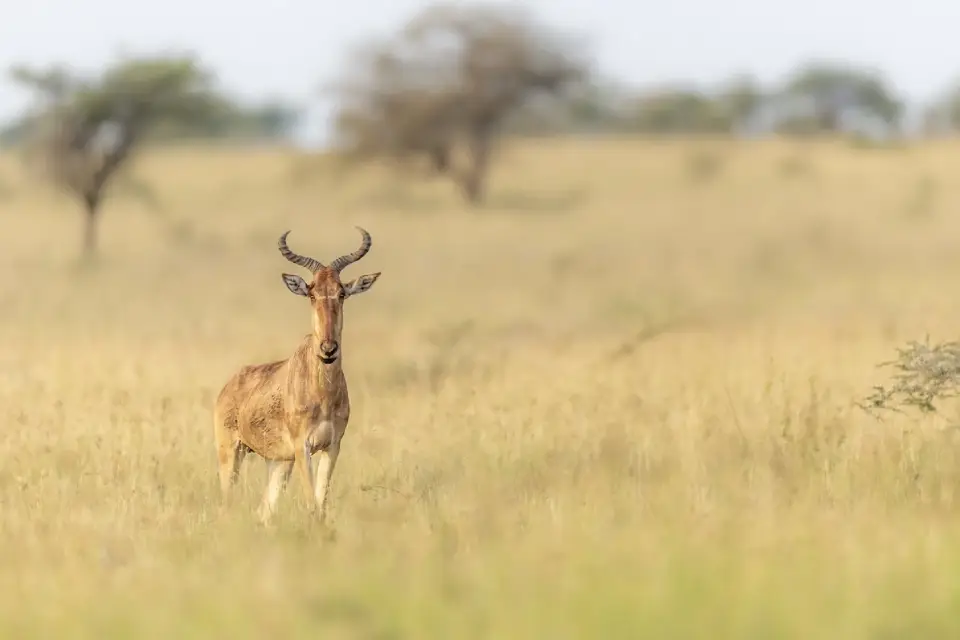 8-days-tanzania-dramatic-landscapes-7
