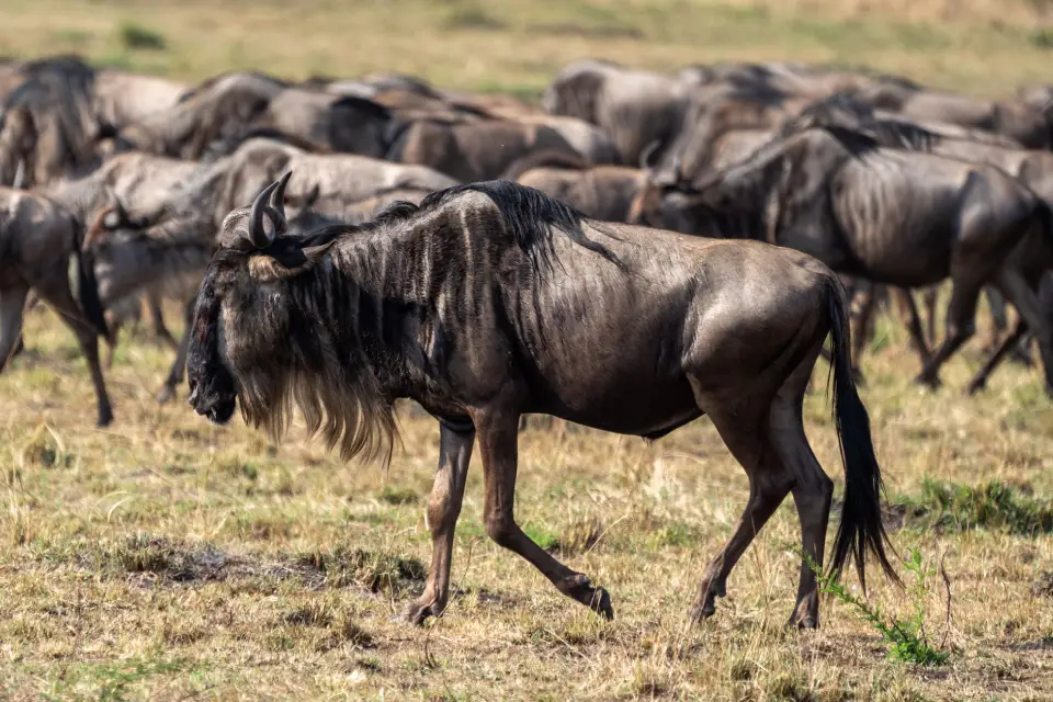 8-days-tanzania-dramatic-landscapes-8
