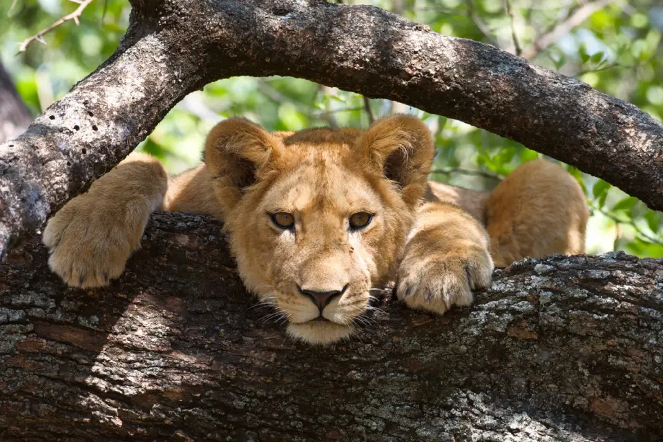 8-days-tanzania-dramatic-landscapes-9