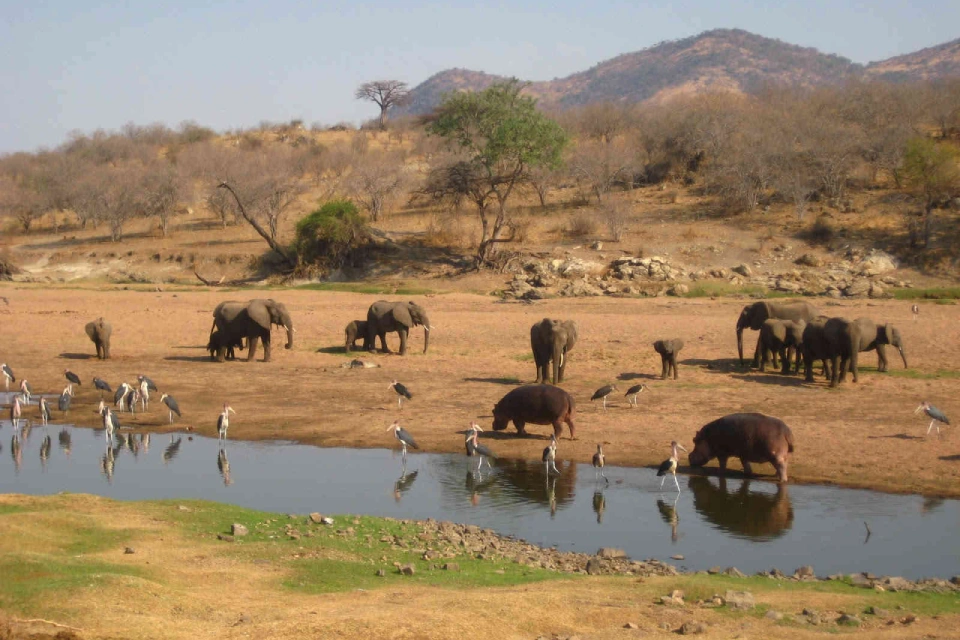 8-days-ultimate-southern-wilderness-tanzania-10