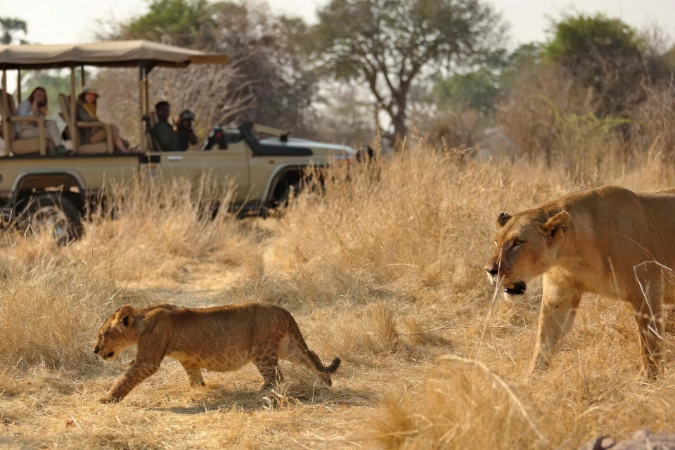 8-days-ultimate-southern-wilderness-tanzania-11