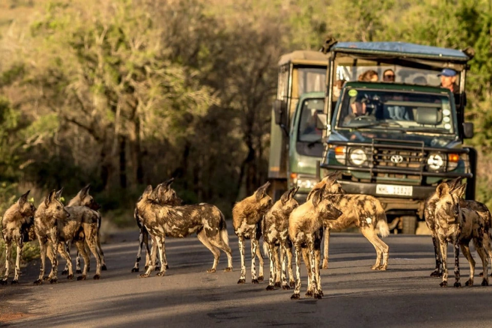 8-days-ultimate-southern-wilderness-tanzania-9