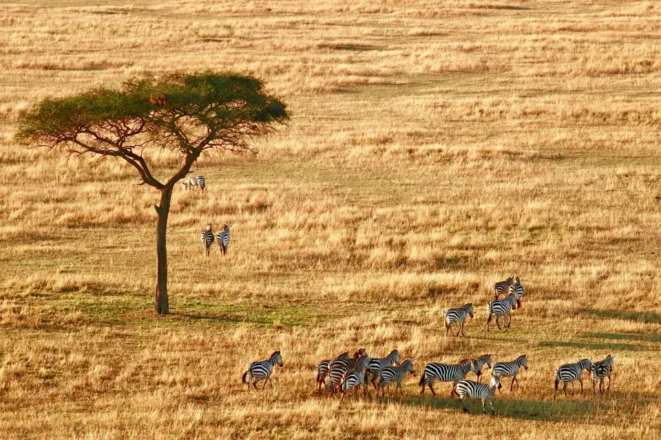 9-days-acacia-wilderness-experience-9