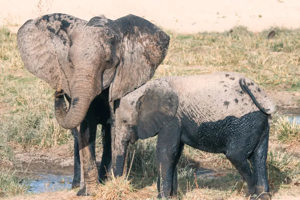 9-days-safari-and-seascape-6