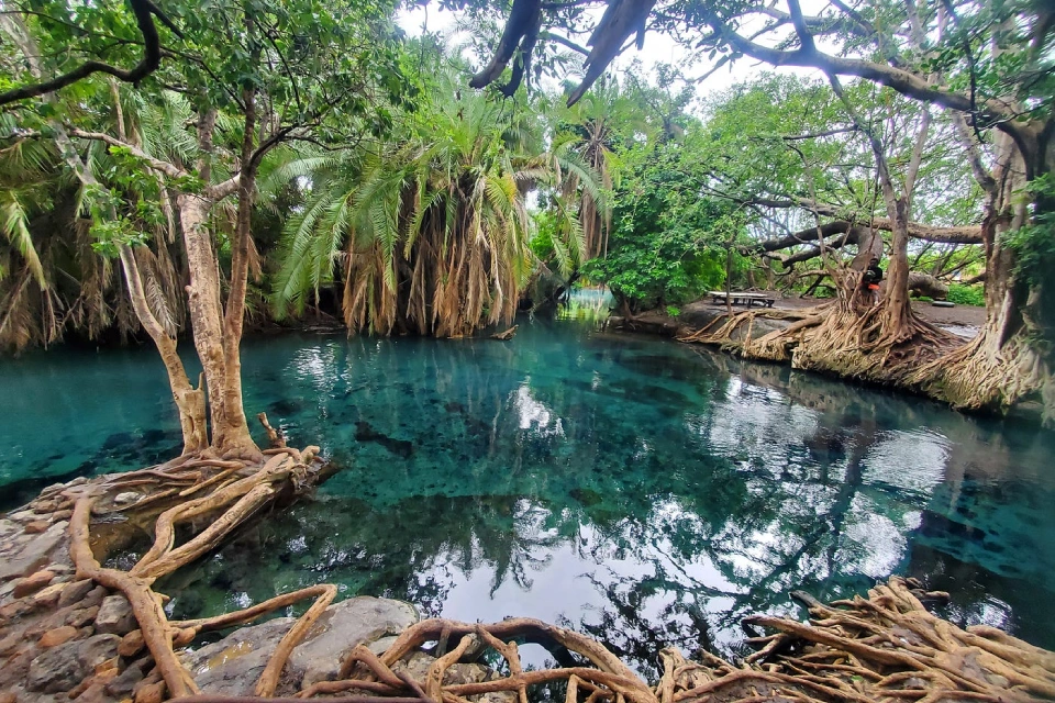 kikuletwa-hot-springs-7