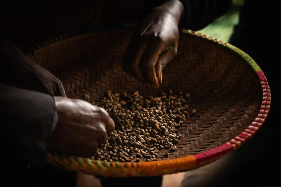 materuni-waterfalls-and-coffee-cultural-day-trip-6 (1)