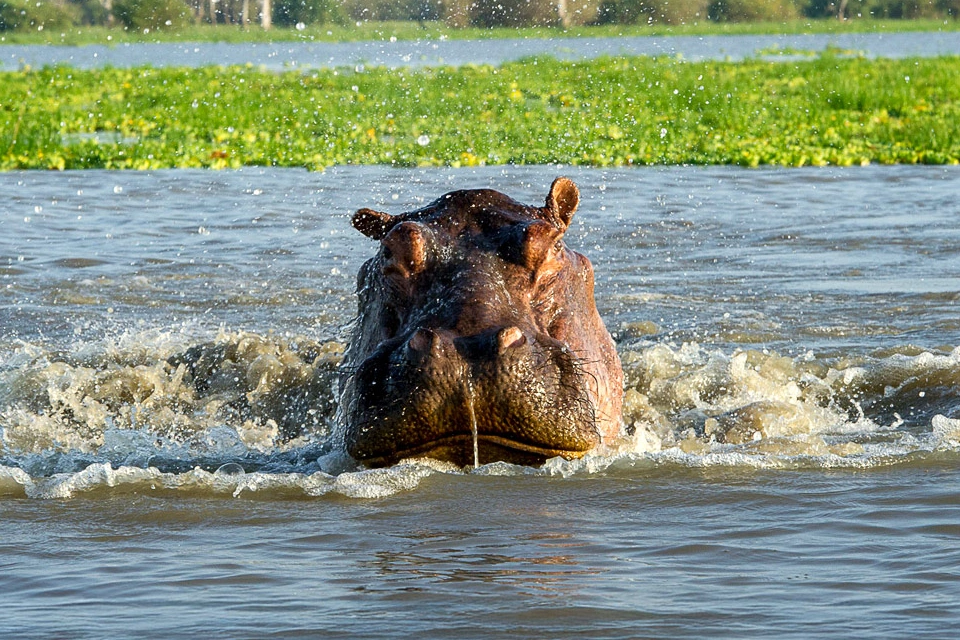 selous-day-trip-safari-3