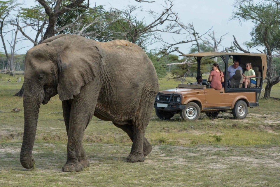 selous-day-trip-safari-6