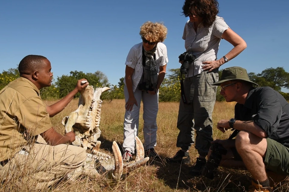 selous-day-trip-safari-7