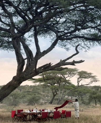 AndBeyond Serengeti Under Canvas view
