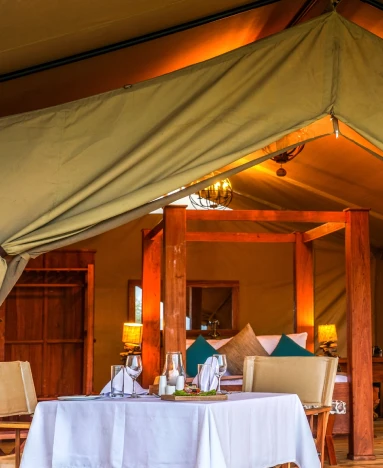 Asanja Siri Bustani Grumeti room