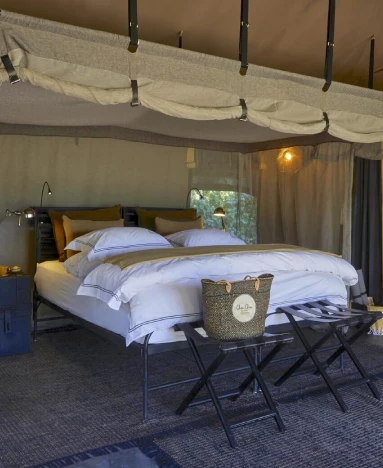 Forest Chem Chem room