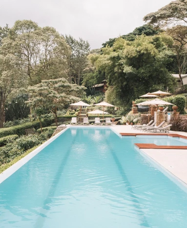 Gibbs Firm pool