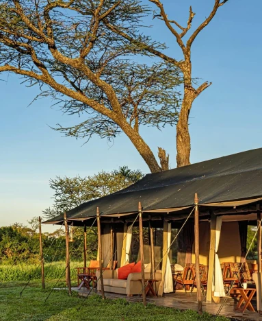 Lemala Mara & Ndutu Tented Camps view