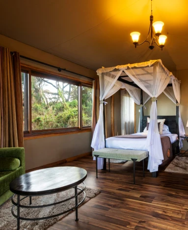 Ngorongoro Lion’s Paw room
