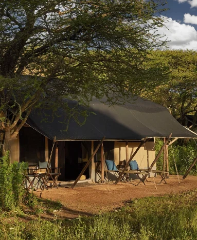 Nyasi Tented Camp scene