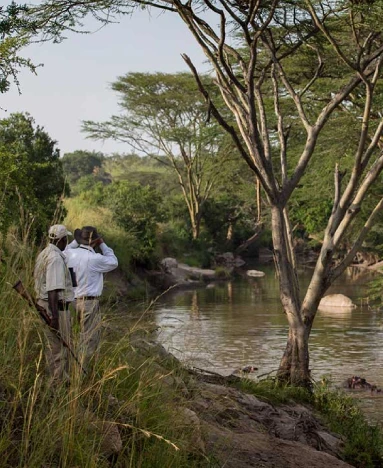 Serengeti Migration Camp view