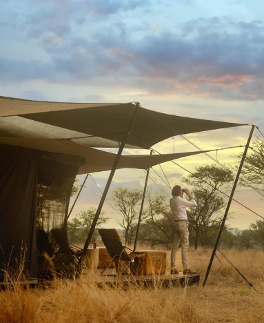 Siringit Migration Camp view