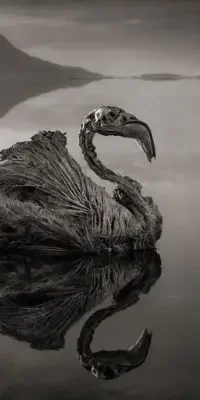 lake-natron-and-ol-doinyo-lengai7