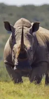 mkomazi-national-park5