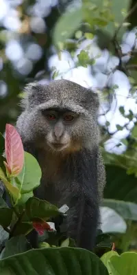 udzungwa-mountains-national-park7